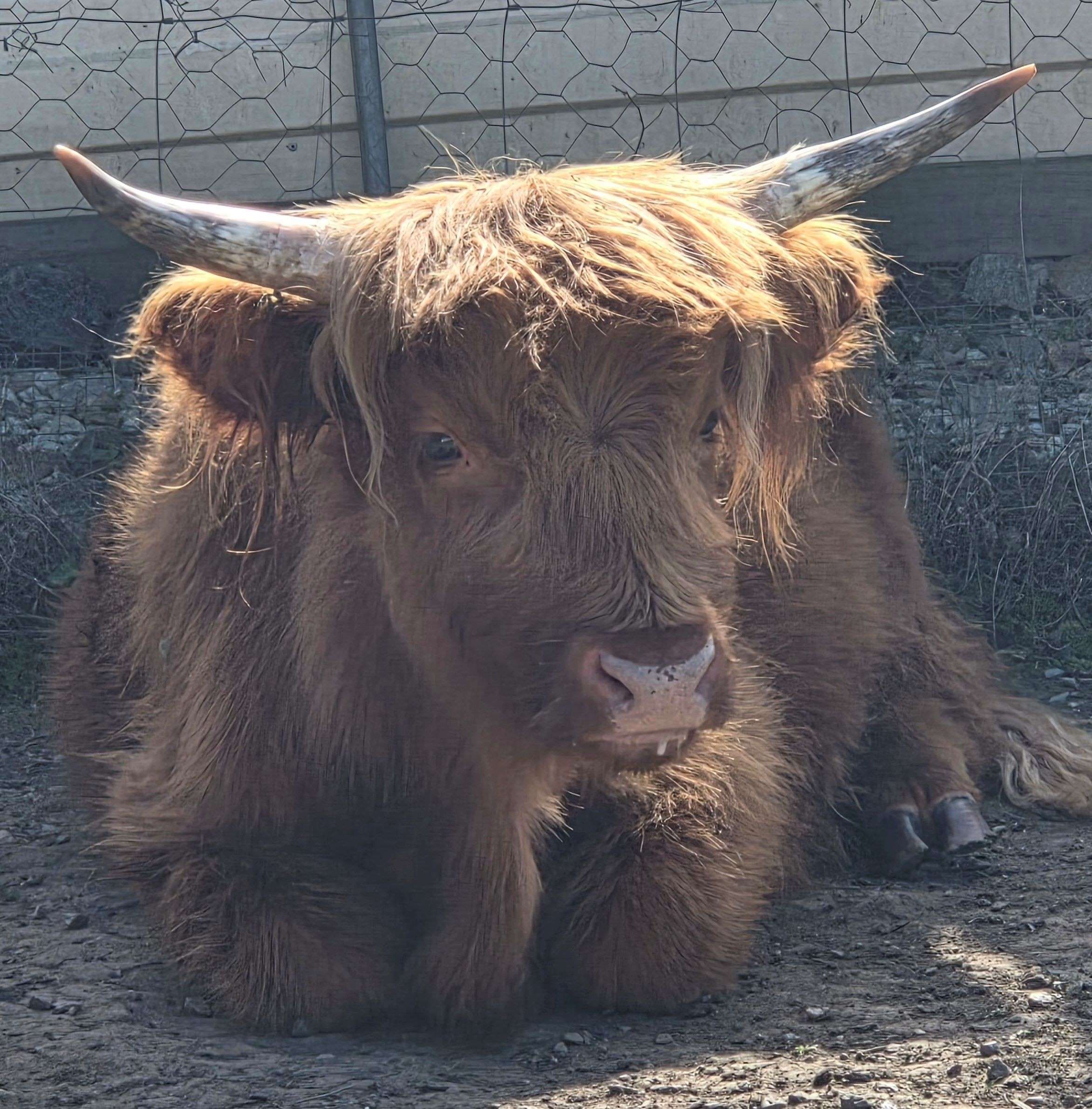 FULL MOONS 2022a.docx